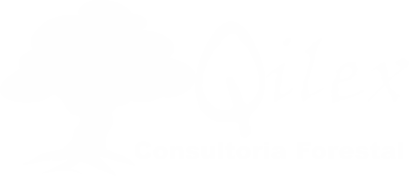 Qilex - consultoría forestal Teruel